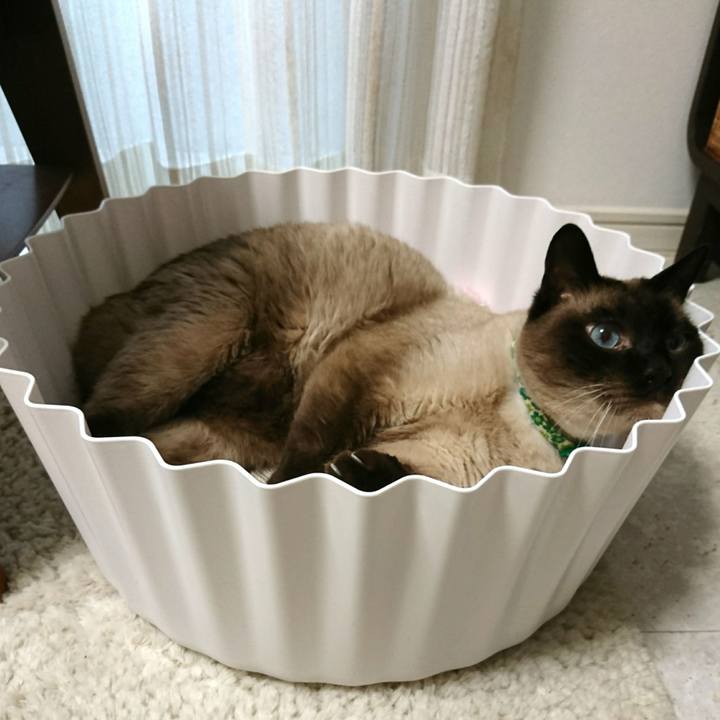 C99d9f79 de36 4057 b45b f6aa25e8ffc3 1528381004718