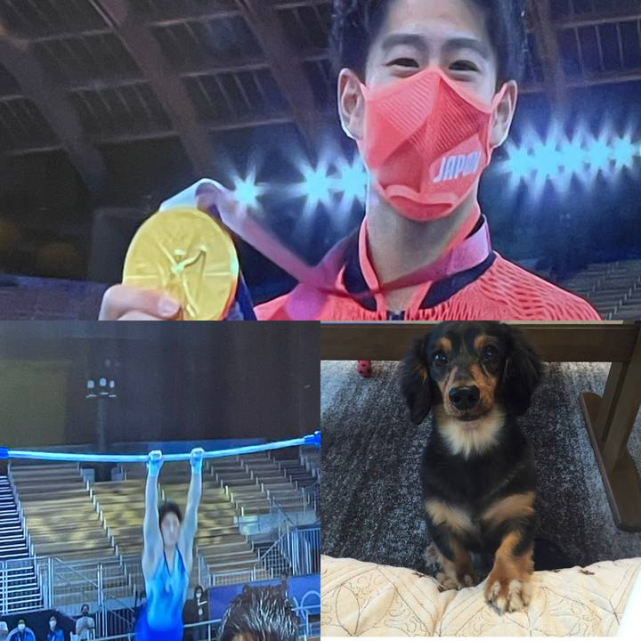 C99dbc3e 8fd1 4751 a75e 3be561146f42 1627478923457