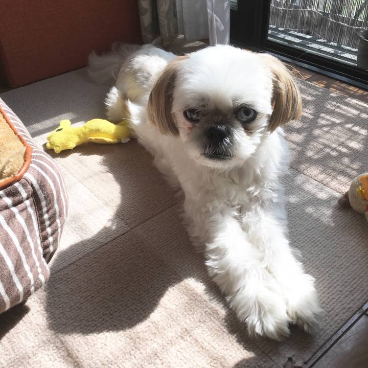 C99dd31a 2f3e 49c9 a854 b69d5b59ce43 1507776847052