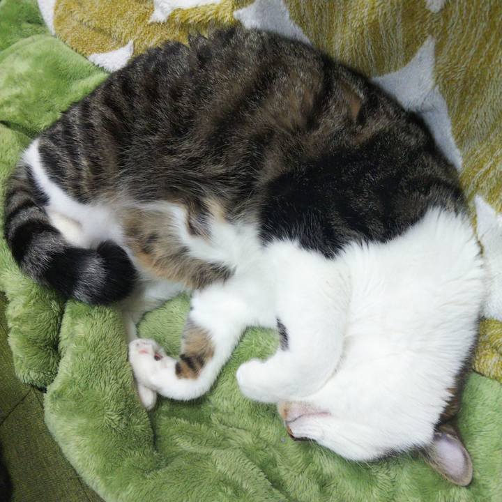 C99e068f 8b71 46c2 811a 8c4088ed7a35 1654738375208