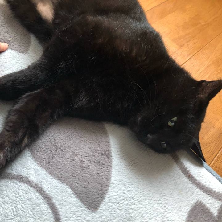 C99e2dc4 707b 479b bf34 6654f3d679de 1621122520707