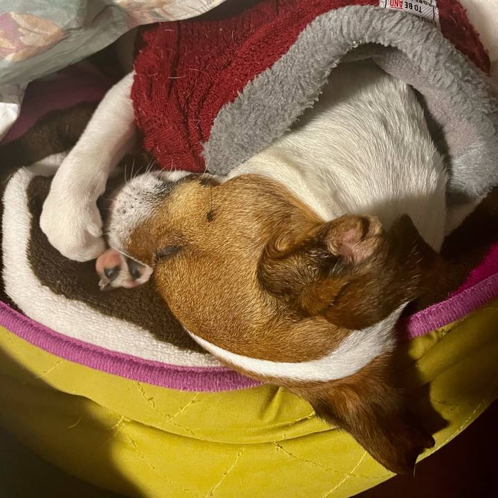 C99e443c c448 44a2 89cc 9fd908afd863 1643021204470