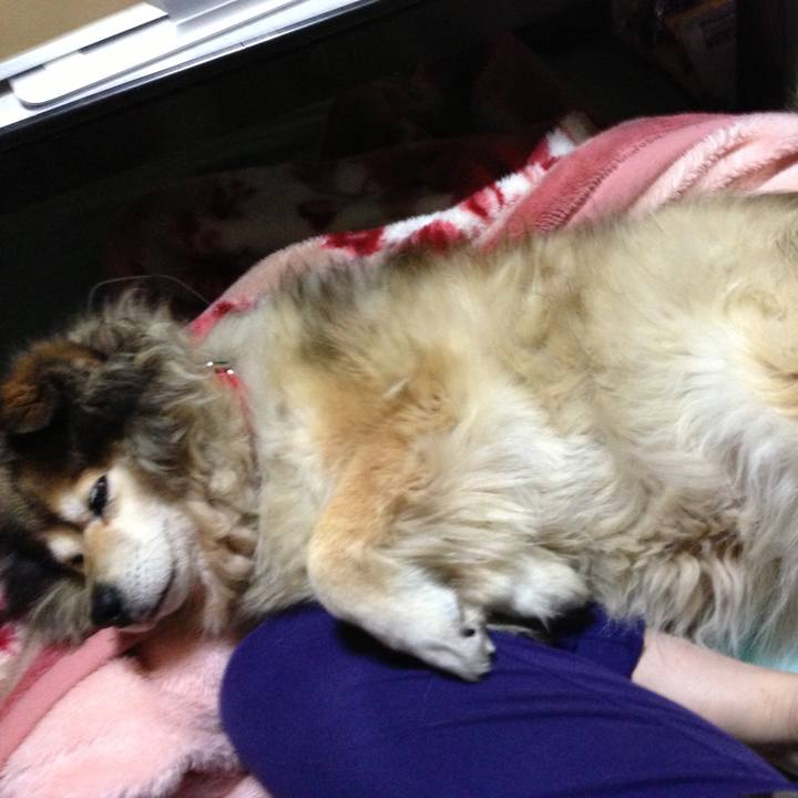 C99e79ea 43cc 43f5 8bab 12e7457ed9af 1550834226085