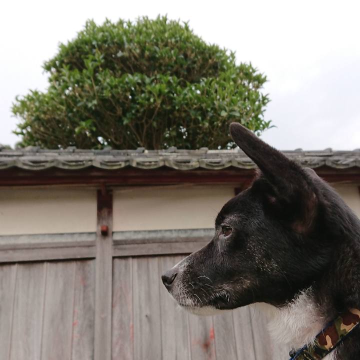 C99e85aa b3a3 4a36 a307 b0a1cf83e1e6 1537756495887