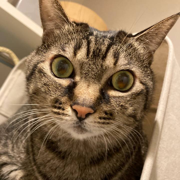 C99e90fe 250e 4713 8dca 1eb0fb423004 1736647359463