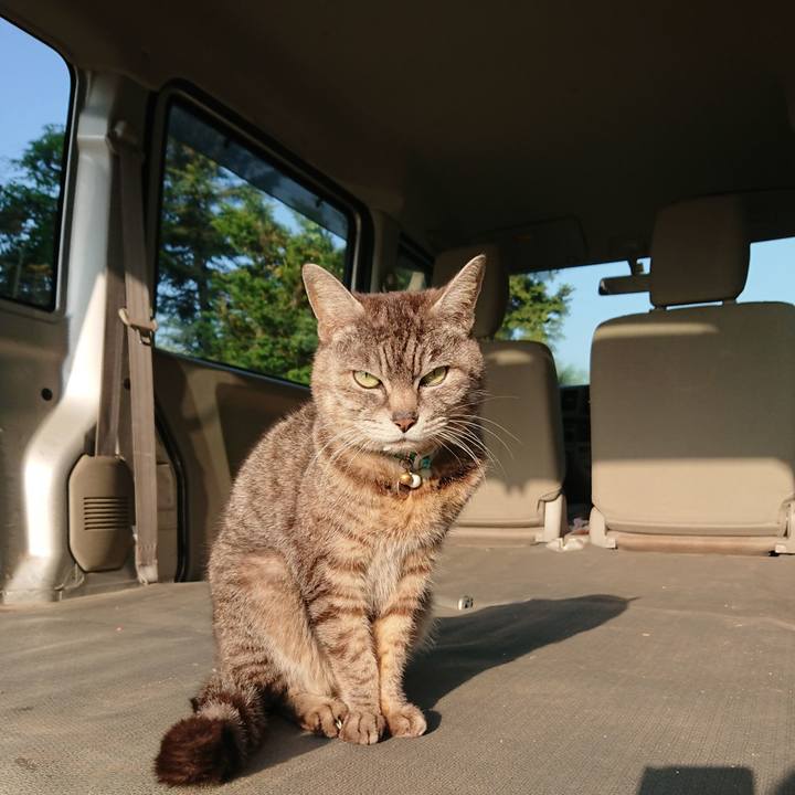 C99eb3aa 6a63 4bc9 b529 65d2b5a4df8f 1558662214981