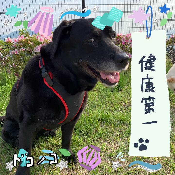 C99eb979 8041 4bf9 b8fb 53dd9c9de1e4 1720770879240