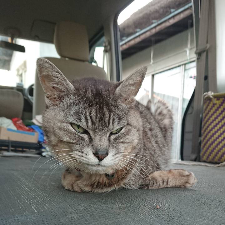 C99eecbe e6fa 4ea2 90a3 05e8f9bc9146 1592387247325