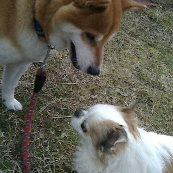 C99f2b13 71eb 4556 b5b2 7a005598f79d 1549629446513