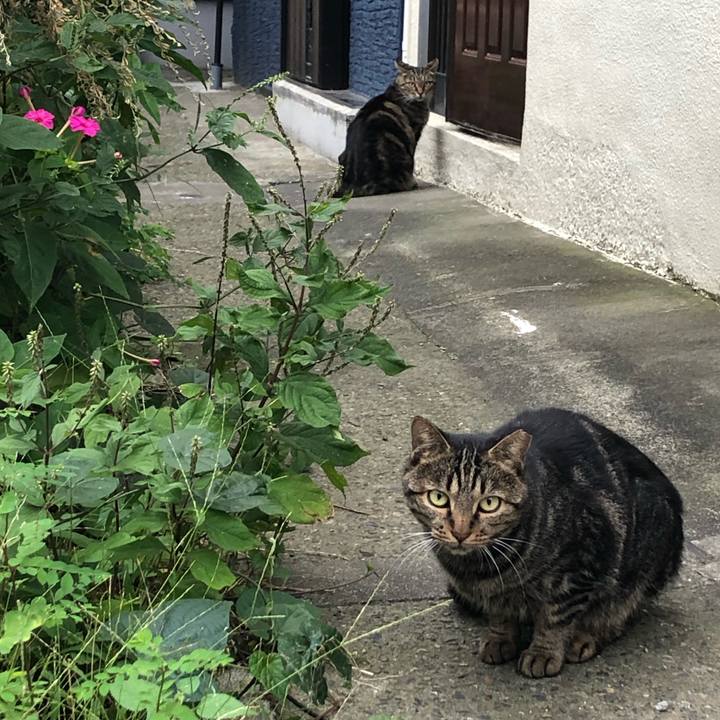 C99f8c6e ea2d 4b13 b6ae 7bb0499b2c68 1570465681307