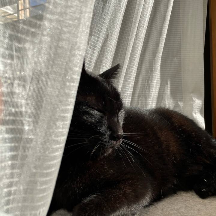 C99fe29f 0d77 4fe2 9313 666f10ed549a 1604972715946