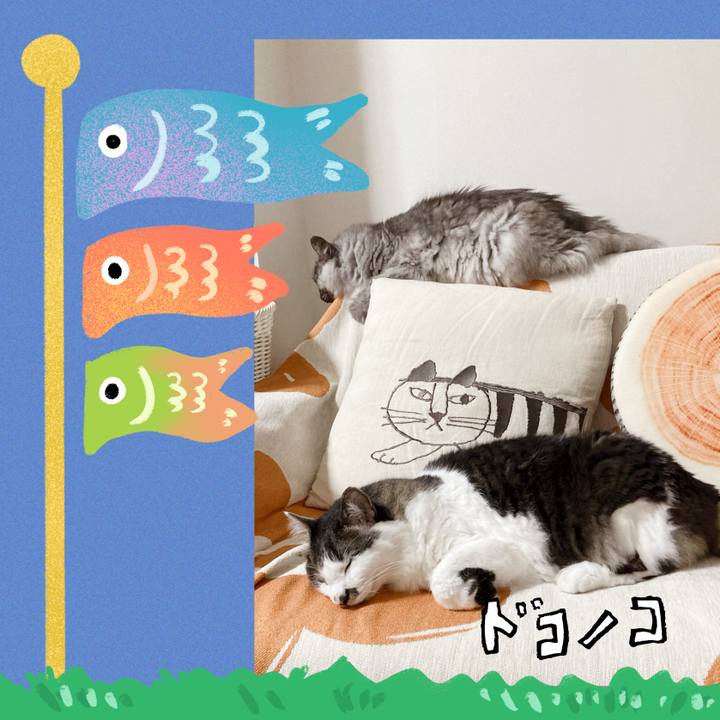 C9a039ae 15f2 41a8 8043 96f61236565e 1715209061996