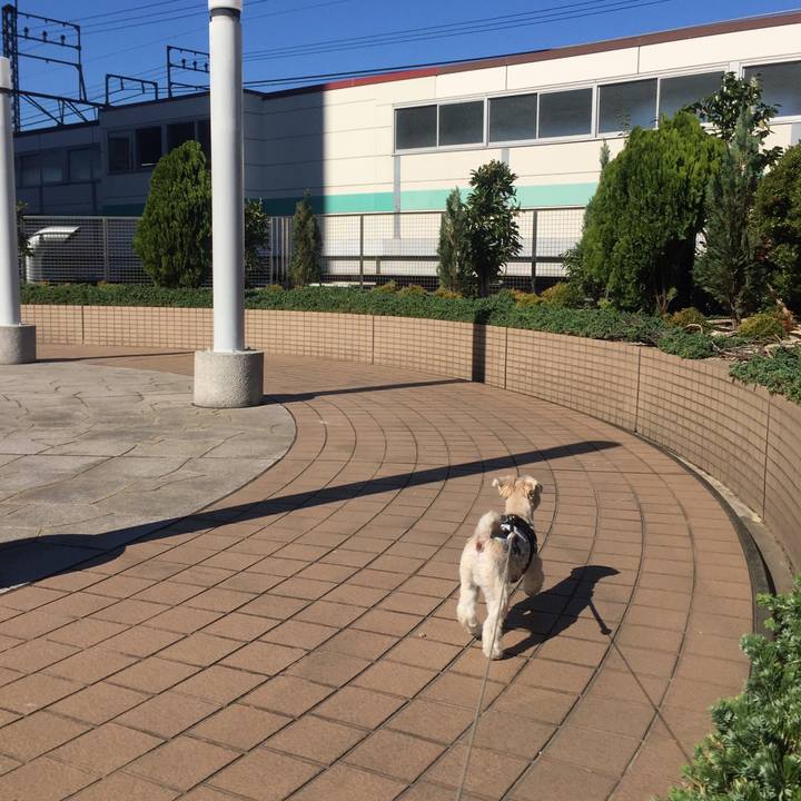 C9a045ca da71 42fe b602 6418cb3c882a 1541159724209