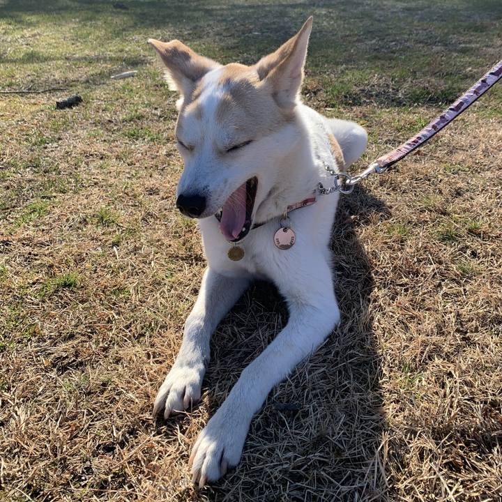 C9a06d83 4961 4f7d 8233 31a7eb6d8289 1610365519160