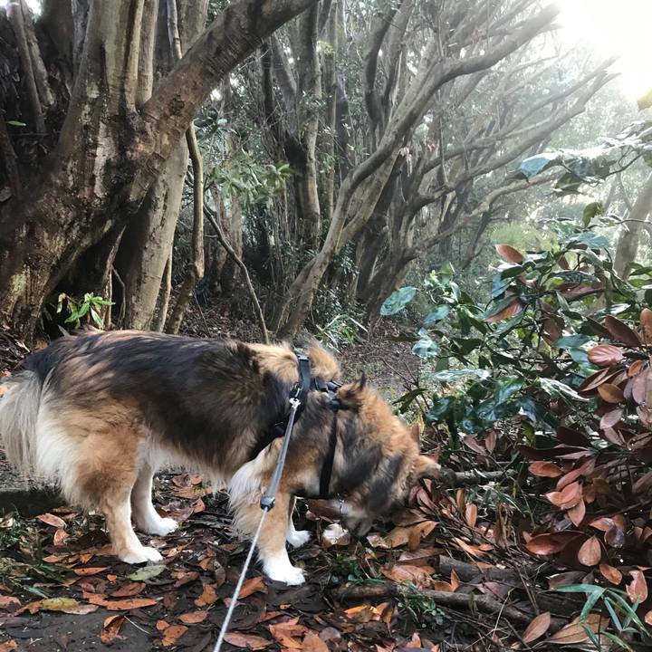 C9a0b0da 3aeb 48a7 8e62 ad4ea5da35b5 1582329717246