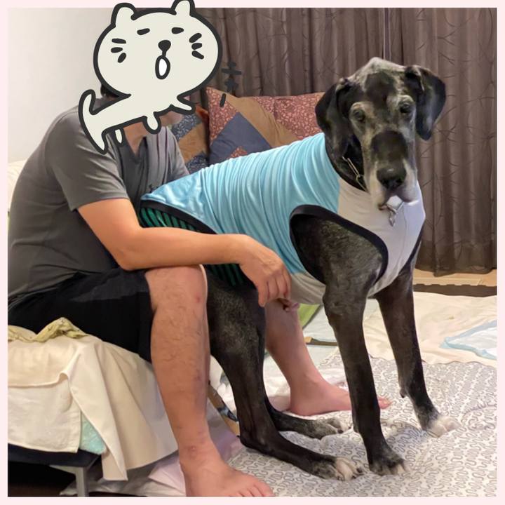 C9a0bd35 40a6 42eb 88f1 bc62a2c50f67 1658355917146