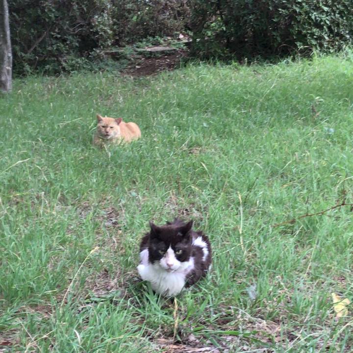 C9a0c817 ef4e 481f b548 f12e228068f6 1520843057529