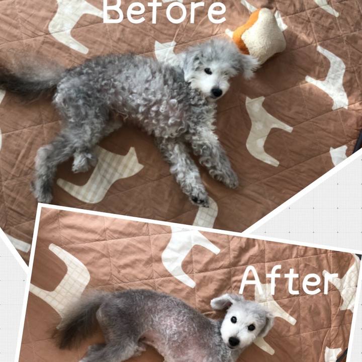 C9a0d739 4f62 41b8 8dd9 4b91776fc967 1598071804857