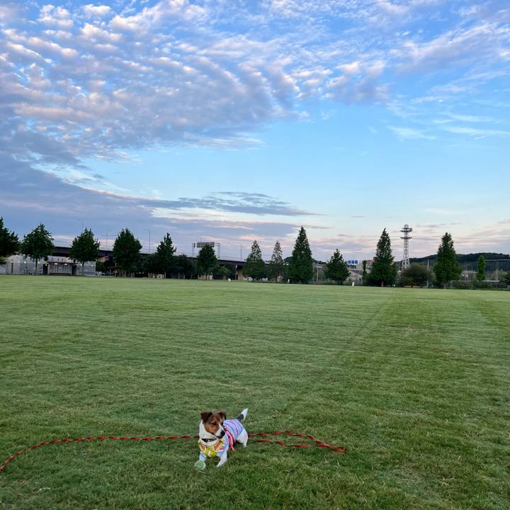 C9a0d984 274a 4670 9644 5f25d8eedad6 1722052910006