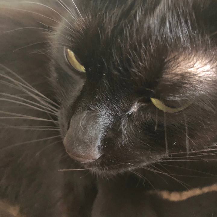 C9a13bbb 31b0 4bee 9ebd af830f14b950 1529112880810