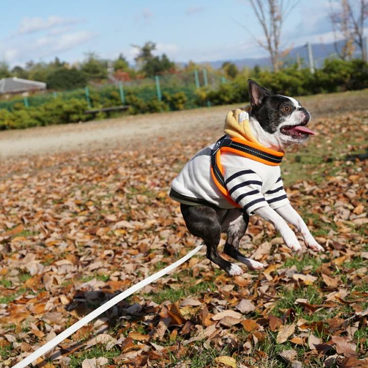 C9a14d3d ee02 4d2f 8793 06632d606aee 1511426416094