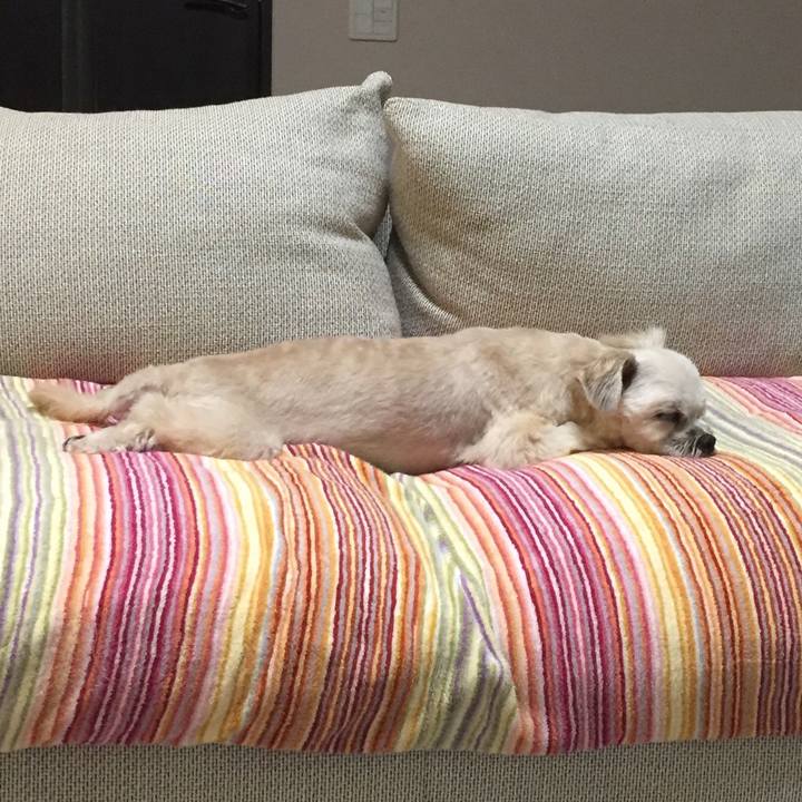 C9a1b7a1 a564 4d93 8505 0e7286f5e562 1564314396679