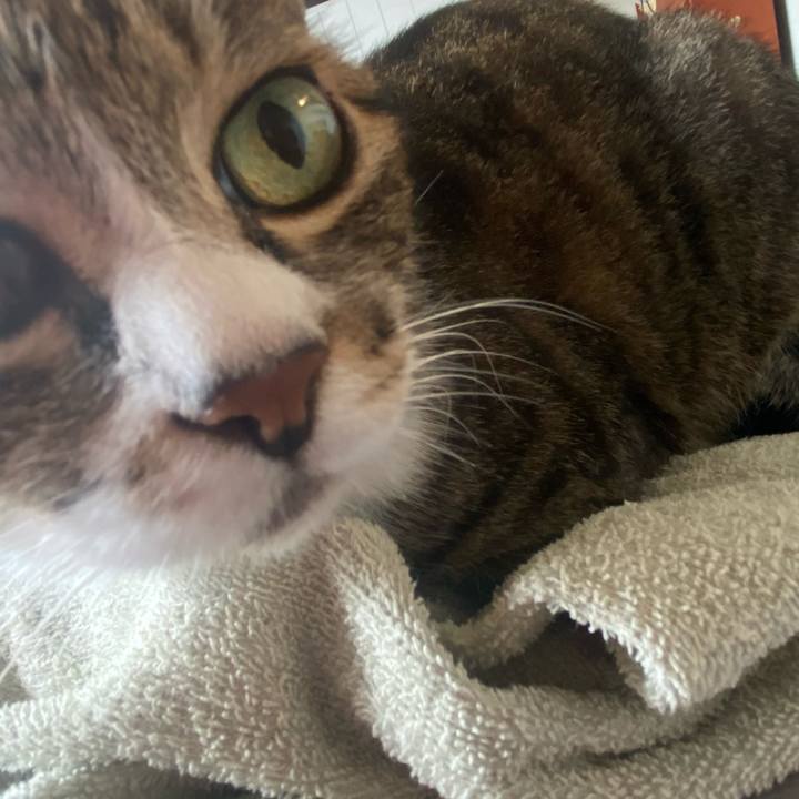 C9a1c729 8820 46be baab 9e91a9219b80 1629069609103