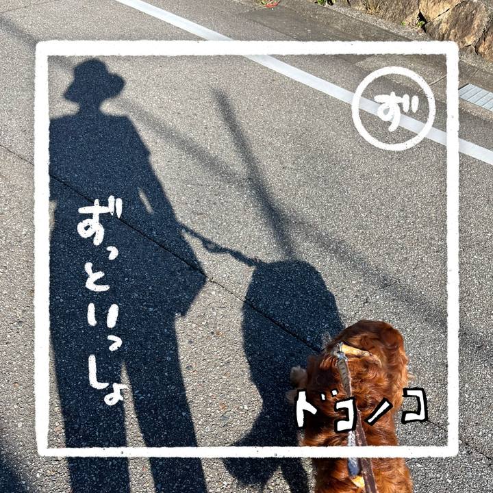 C9a1cbff ff2a 4f0a a121 94584bac9ea5 1685973009761