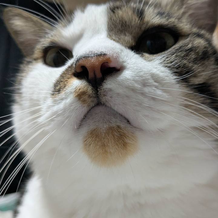 C9a23d2b 4fab 4c51 b659 121e81dc0b79 1755942138740