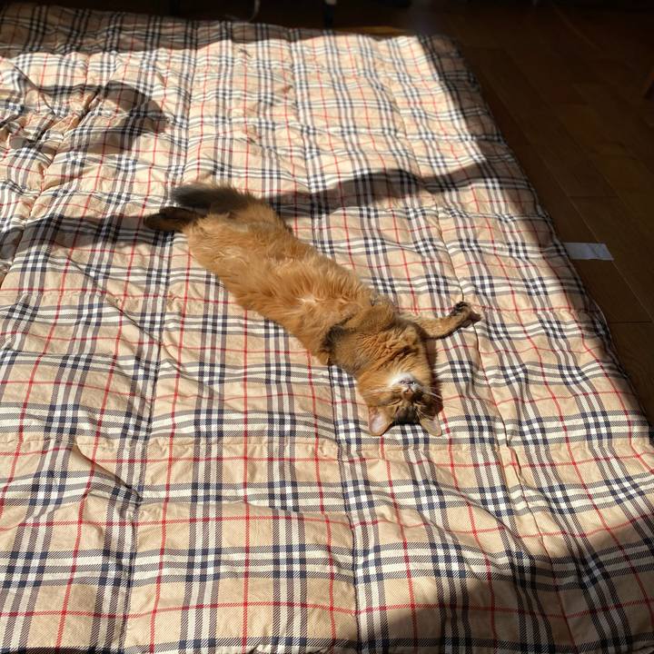 C9a27e26 057d 4747 aee2 79579ac0e0fb 1665453601450