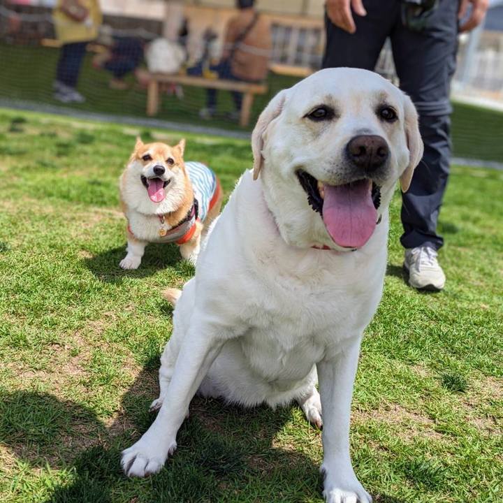 C9a2945e 35da 44fc 89e4 49befc0d4e5d 1687615440239