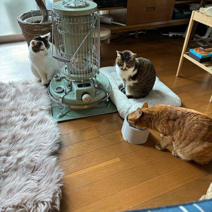 C9a2ee85 b86e 43ad 94bb 3666c717a453 1706490566383