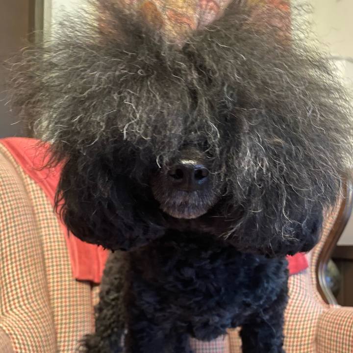 C9a330b2 6464 4640 b08b b3cb04a6127d 1649891049235