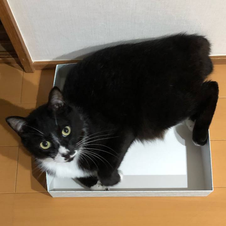 C9a33214 bf3d 4b2b b435 b3f85d0b93a9 1563859495275