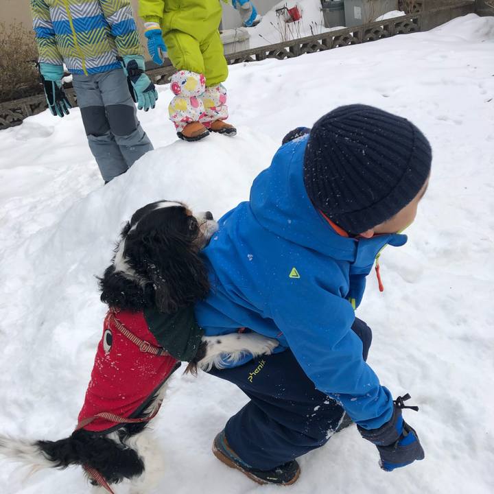 C9a36ad6 7bd3 4738 8242 e22981e73581 1578384681976