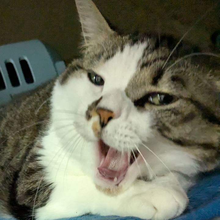 C9a37d67 c1d2 45e0 8657 eca7c55c4f49 1764192209111