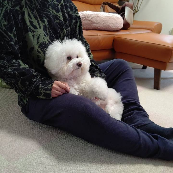 C9a38b70 1632 4dbd a561 ba09a1dfc53d 1606479102621