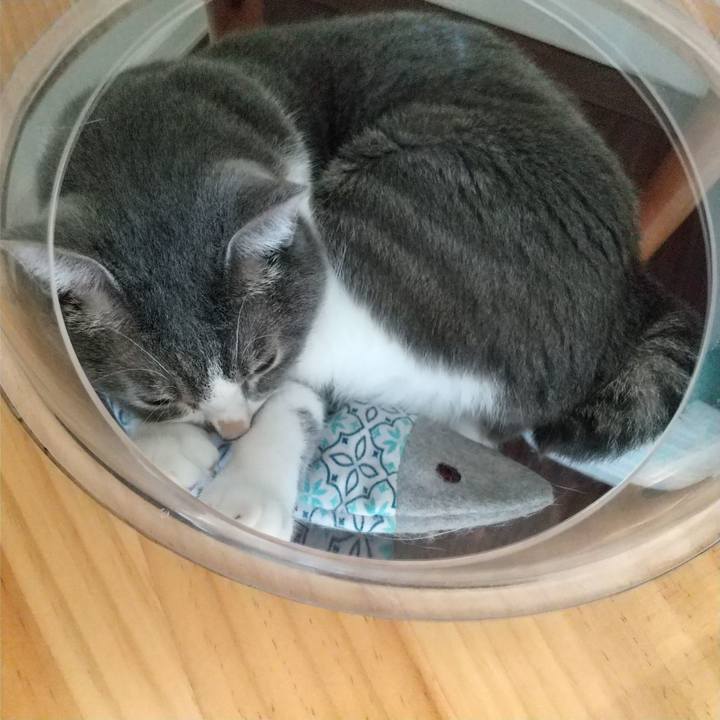 C9a39a9f 8cb0 499e b52e 2e9dbccb8538 1633147837068