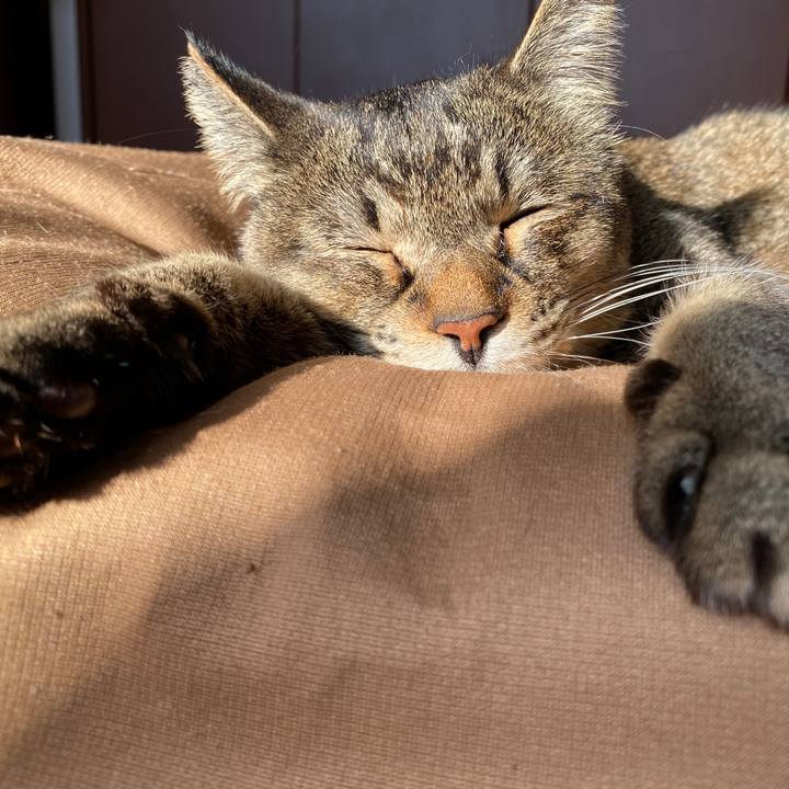 C9a3a5c1 7b7c 4a7c bdf5 1e3c79bfe12d 1612593960025