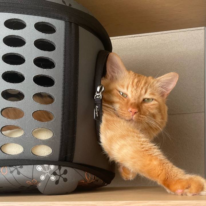 C9a3b6e0 08b6 47f3 b29d 0321223466d5 1762861778327