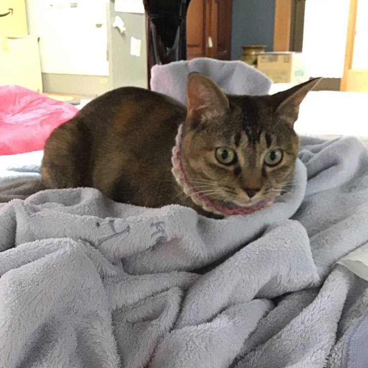 C9a3fd73 c081 44da 929c 083afa259ebc 1624088096665