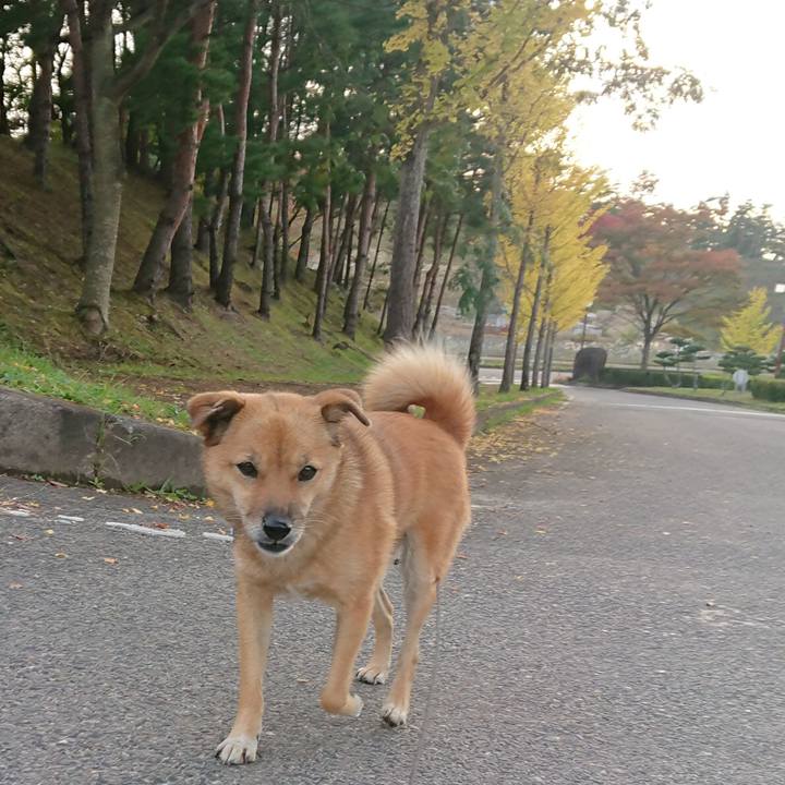 C9a49625 447d 45a2 a9dd dee46a24a058 1603358723610