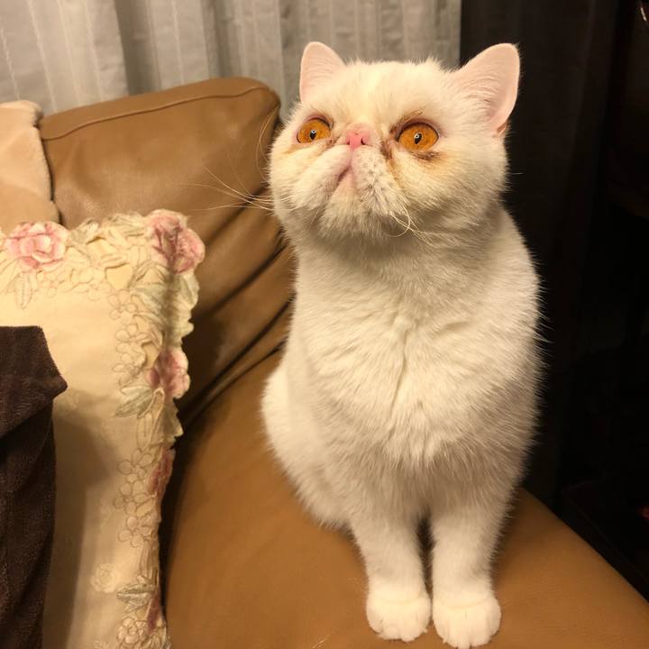 C9a4a917 a4cf 498d 9572 ad67c2740eae 1638870628818