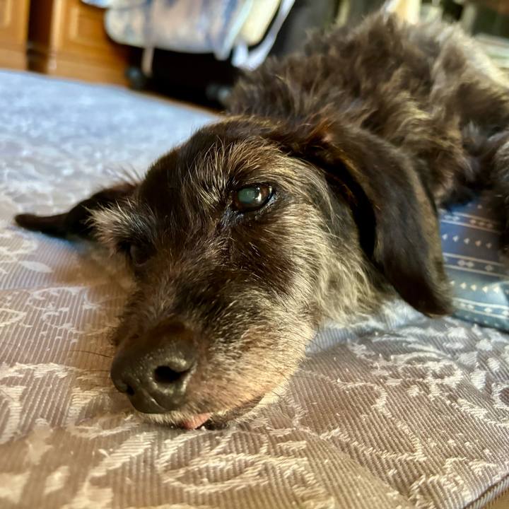 C9a4b683 ab59 467d bf88 7b7d110f001f 1753658406897