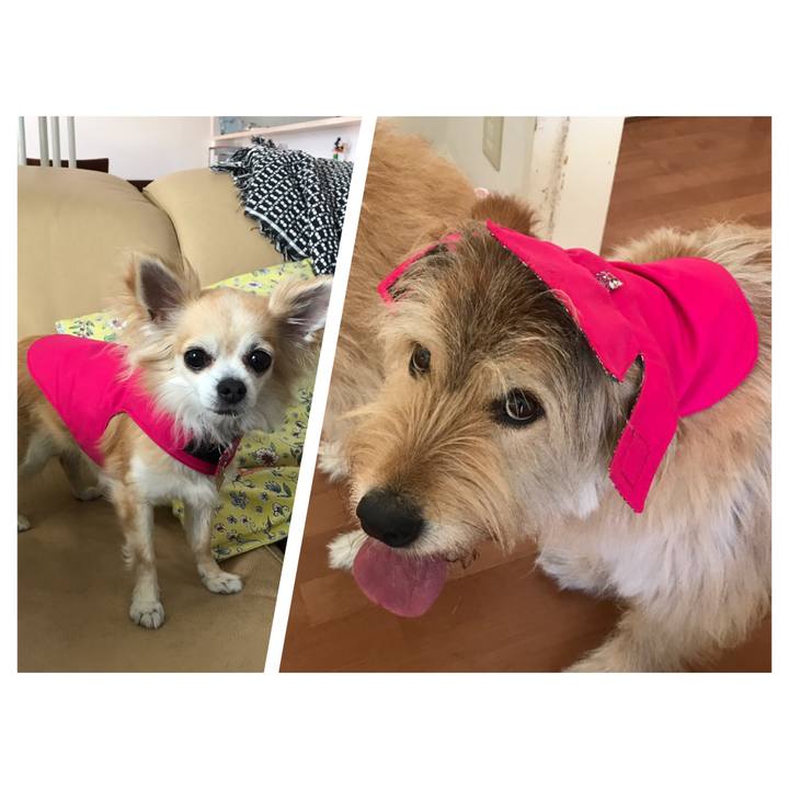 C9a50564 b8d0 47d8 ba6f 44fcfb040736 1560699533018