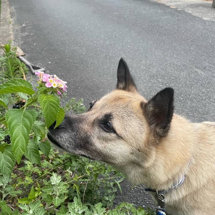 C9a5170b 3559 4cac 8e1f 502f84450289 1660136520897