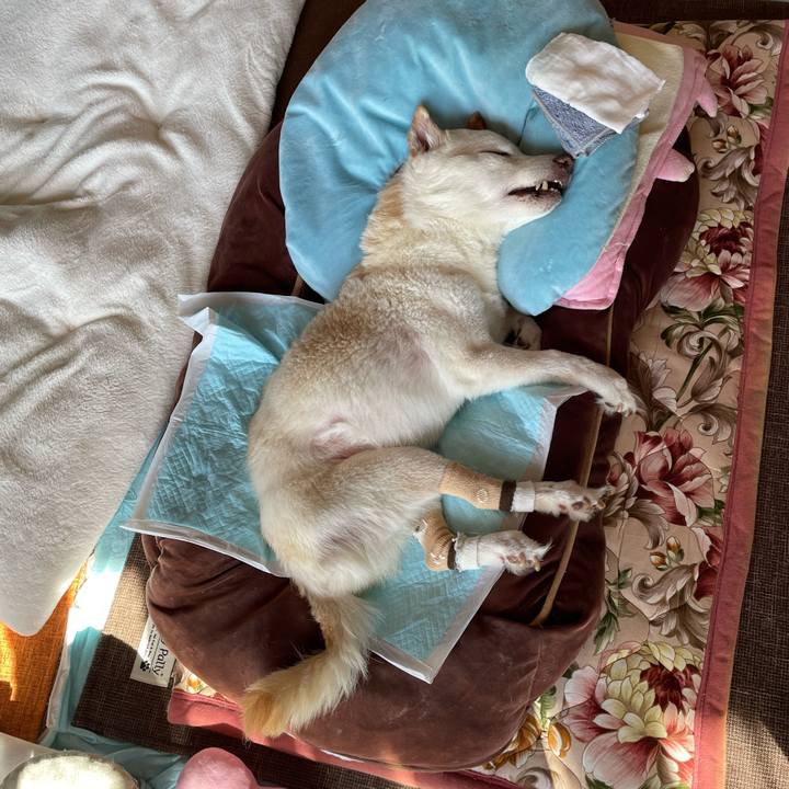 C9a529c1 e3a5 45a8 b9d0 082bf287bfdc 1677462724891