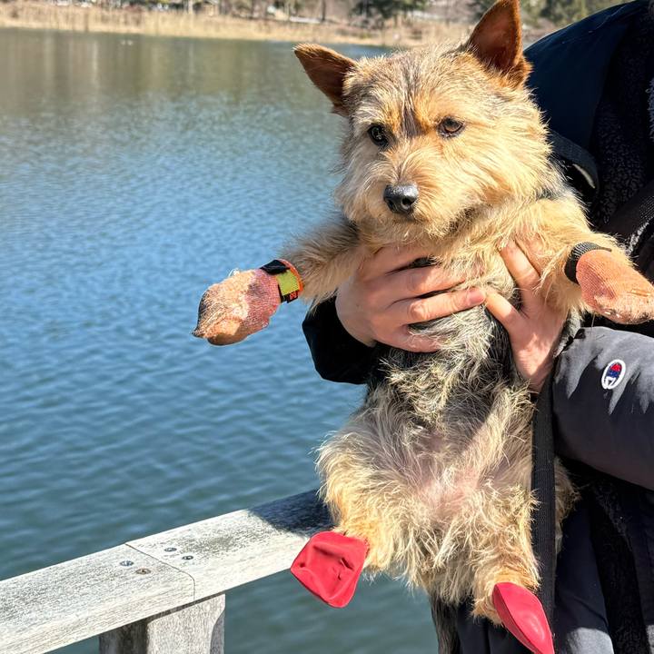 C9a55ef8 1c2a 4945 90e0 8e57c93daa83 1771745235944