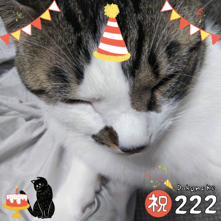 C9a5663f 6b9d 43bf 97d3 3c93c1dd6351 1645499105964