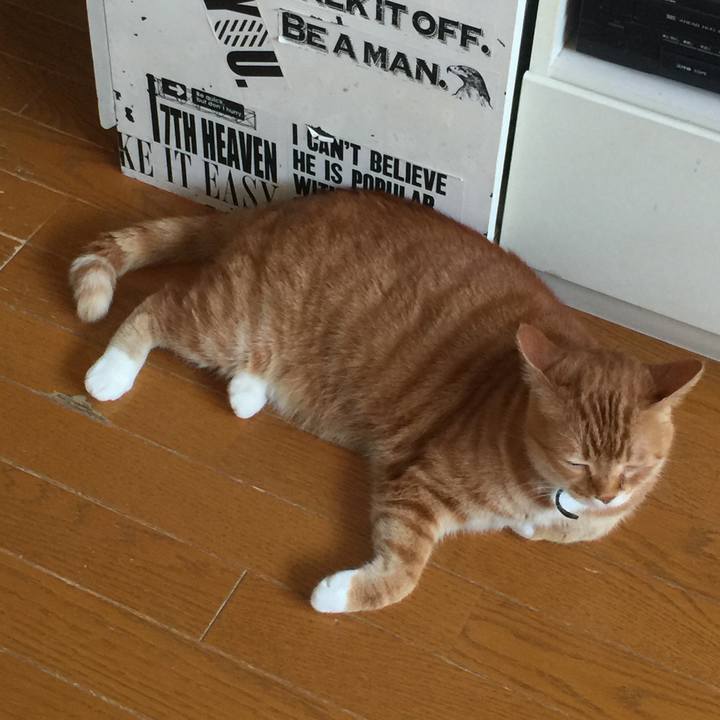 C9a58251 ed36 4523 8edf c76b8251646f 1558754568807